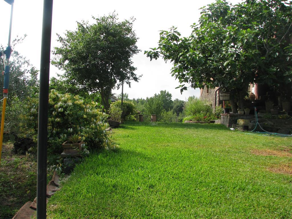 Domus Vini Villa San Giovanni La Punta Værelse billede
