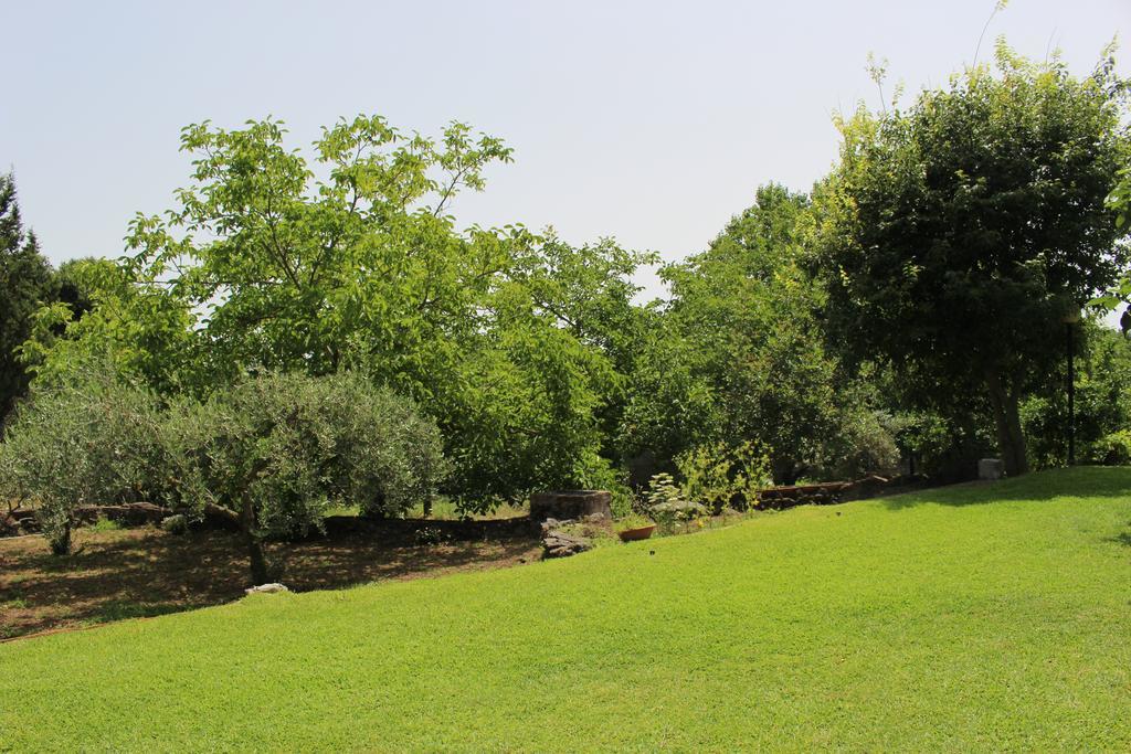 Domus Vini Villa San Giovanni La Punta Eksteriør billede